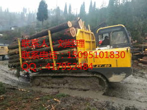 濰坊品牌木材運輸車廠商——山東木材運輸的可靠選擇