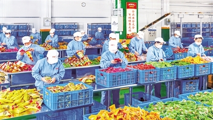 廣西農產品加工業加速集聚，助力產業鏈優化升級