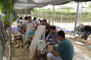 山東省農業科學院農產品所三夏生產工作進展順利，銷售態勢良好