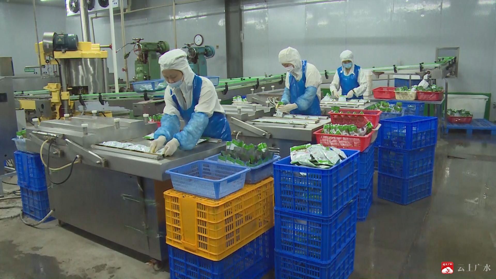 互聯網助力我市農產品進入網銷快車道