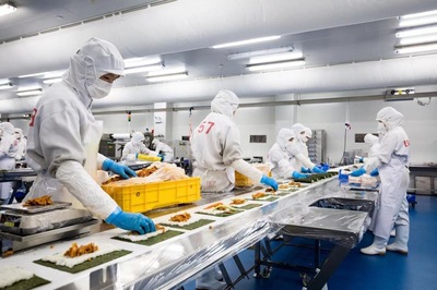 科技賦能，智慧升級 探訪金山現代農業新圖景