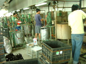 深圳市平湖海利豐塑膠制品廠 專注塑料制品，鑄就品質未來